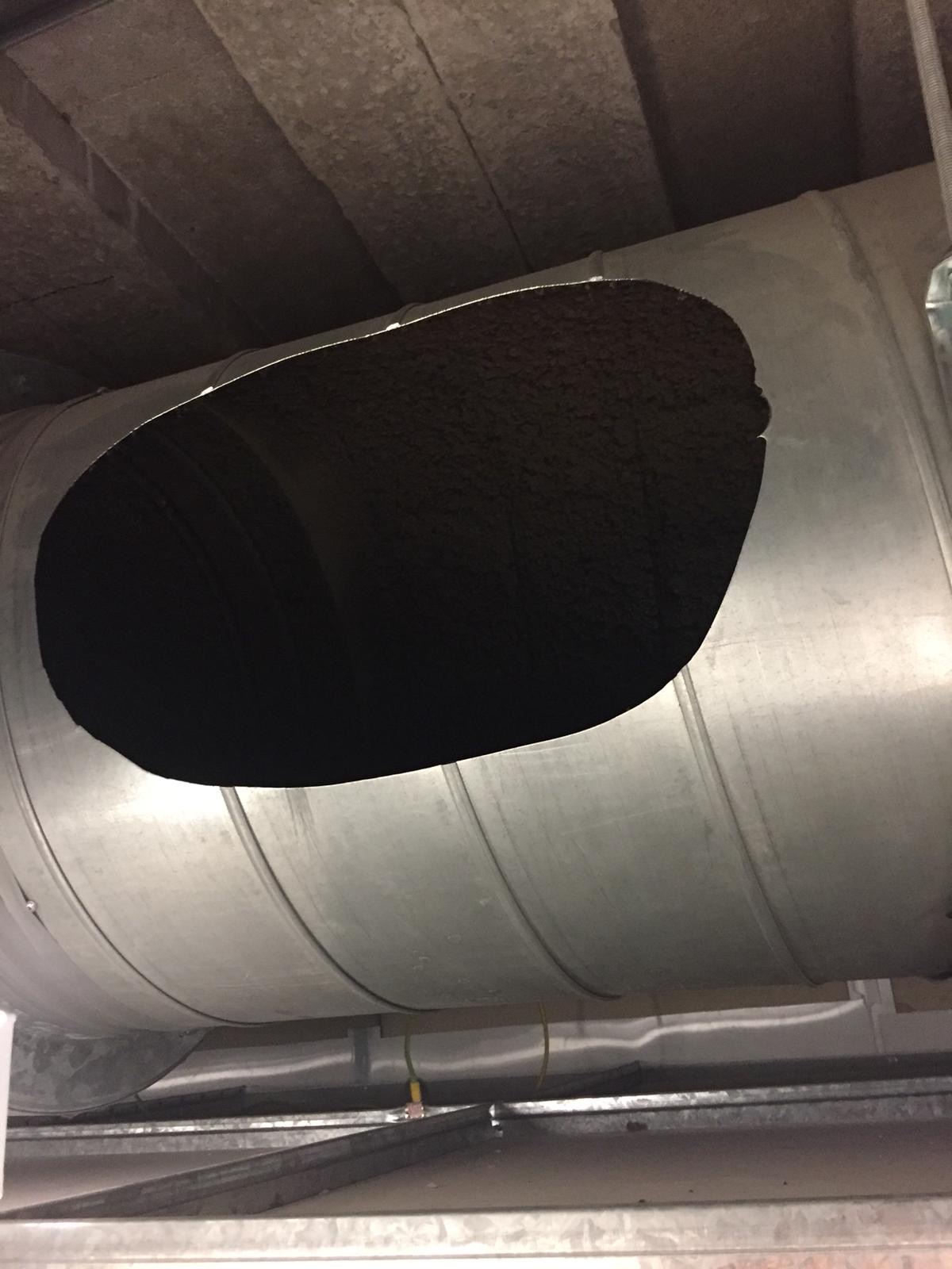 09d80e43-75aa-4b84-a1a1-c4a38c988772