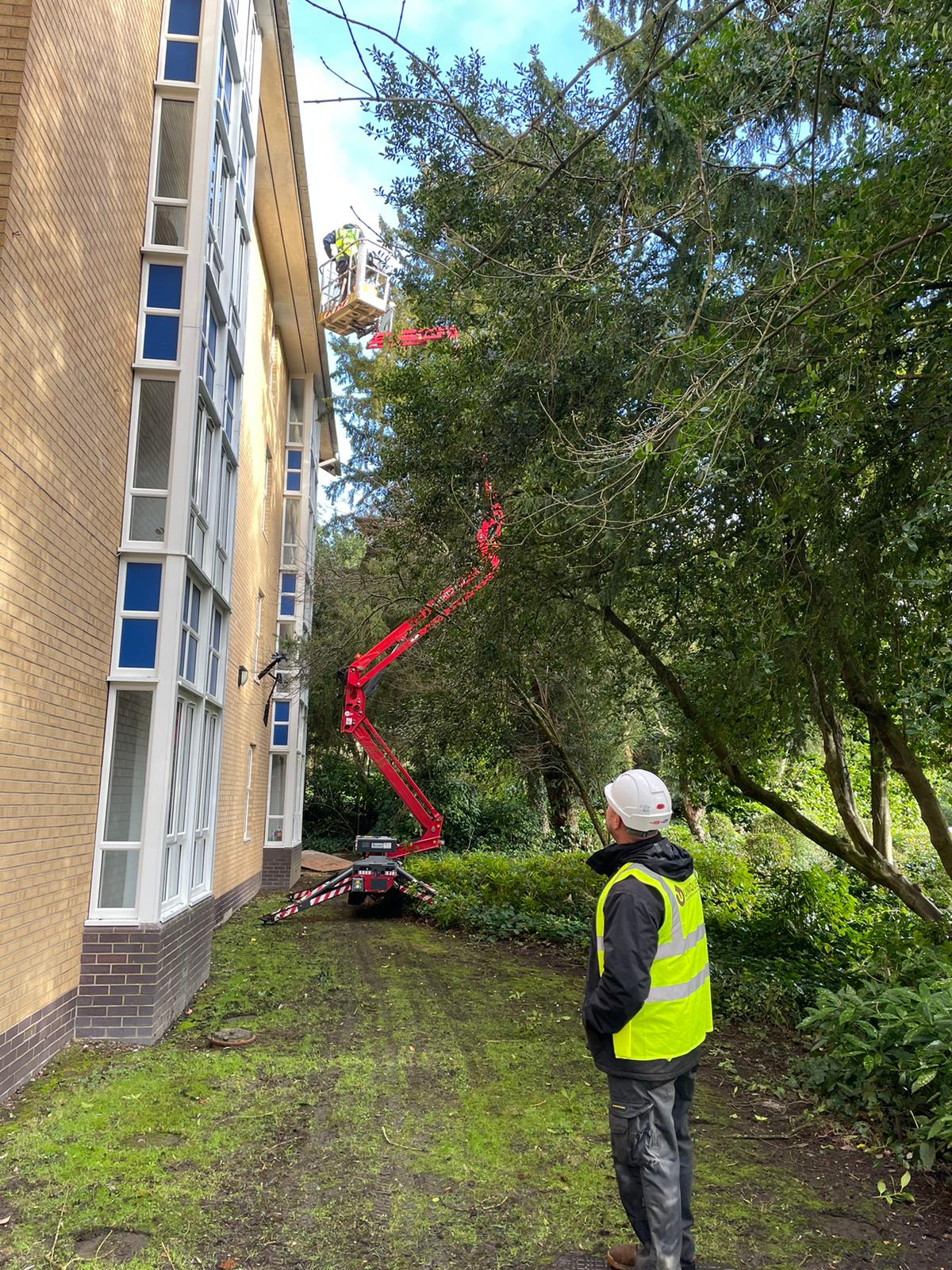 0ff49d8b-c06c-4648-9087-00fb7d9dd0d0