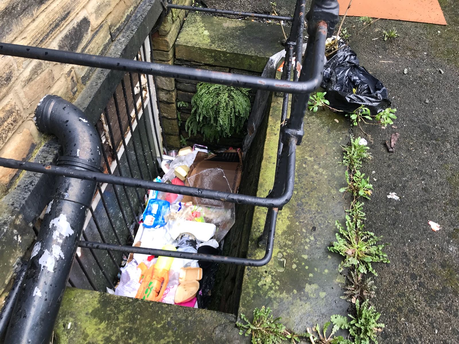 785a0c5a-7f78-4df8-8153-936faa5ea71a