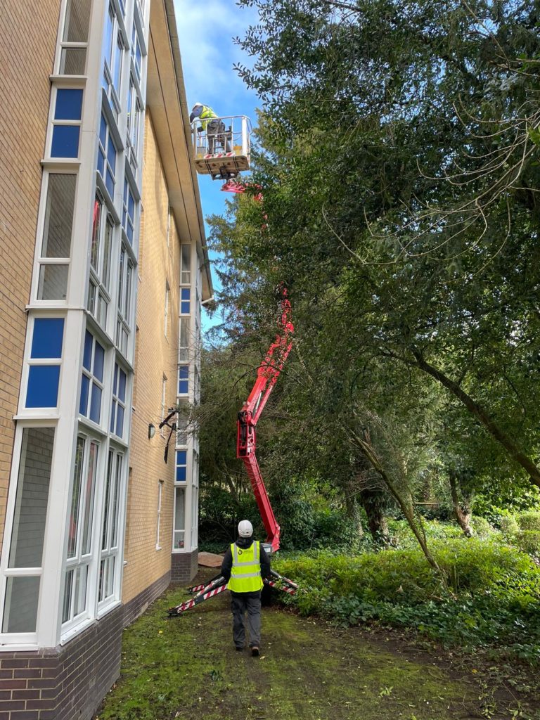 812eb07a-7ea0-4fcd-9d86-82c7a8dd61e7