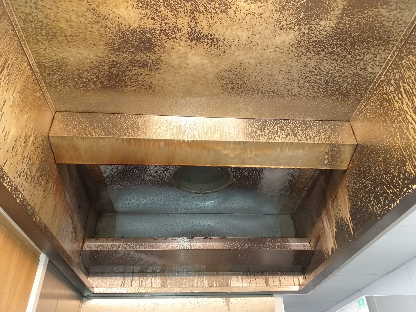 97d51950-0f50-4a89-a30d-b2afef8b0711