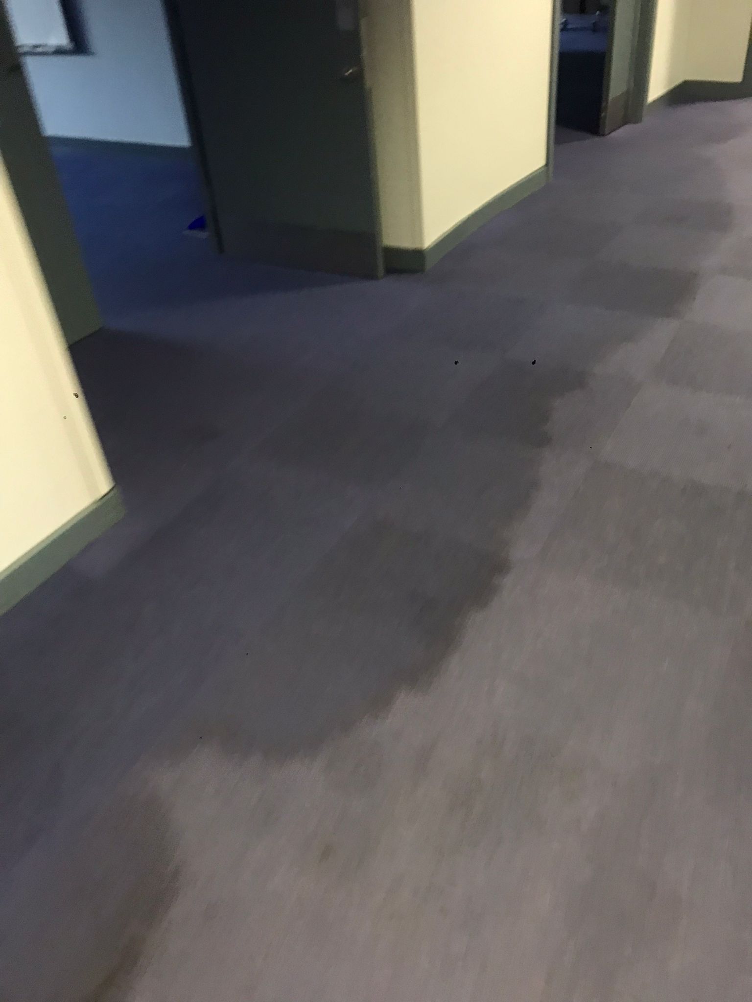 dee59a3a-3ad0-4fd0-b8f1-fa4dfa760ced