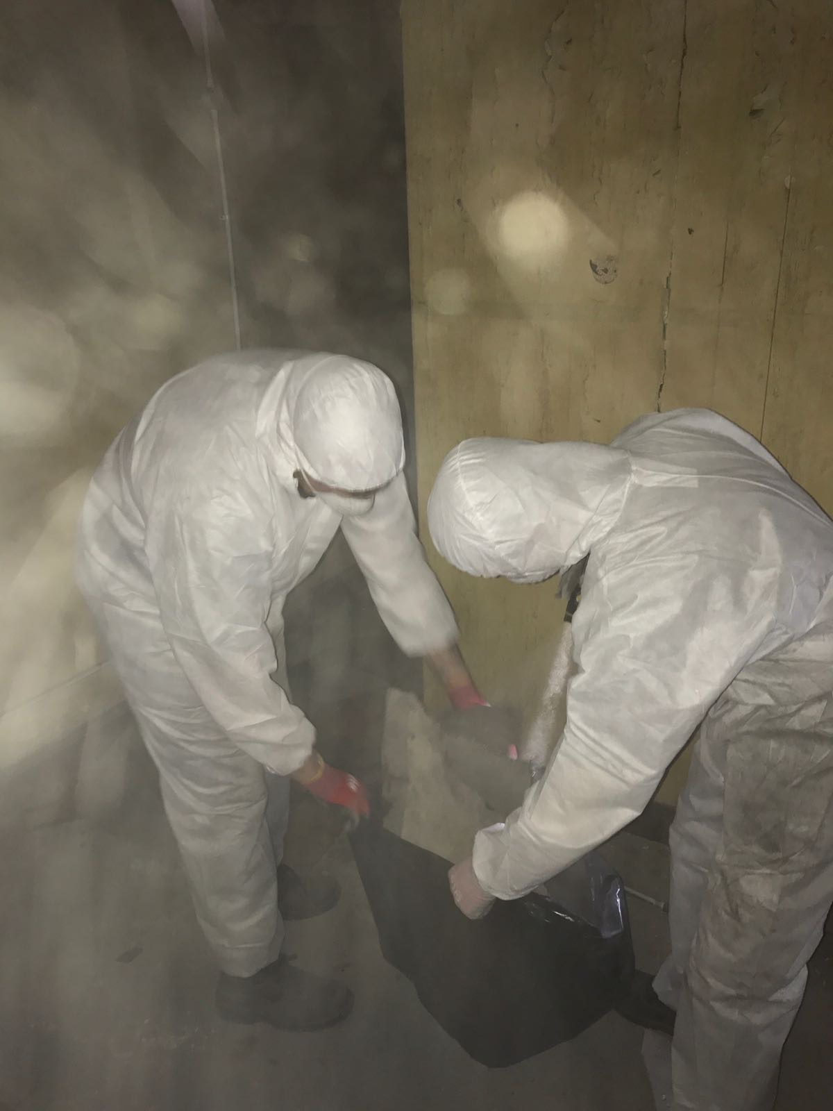 e915edbe-7759-4a94-ae4f-008f56806106